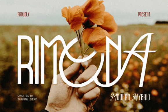 Rimona: The Modern Hybrid Font for Scroll-Stopping Campaigns